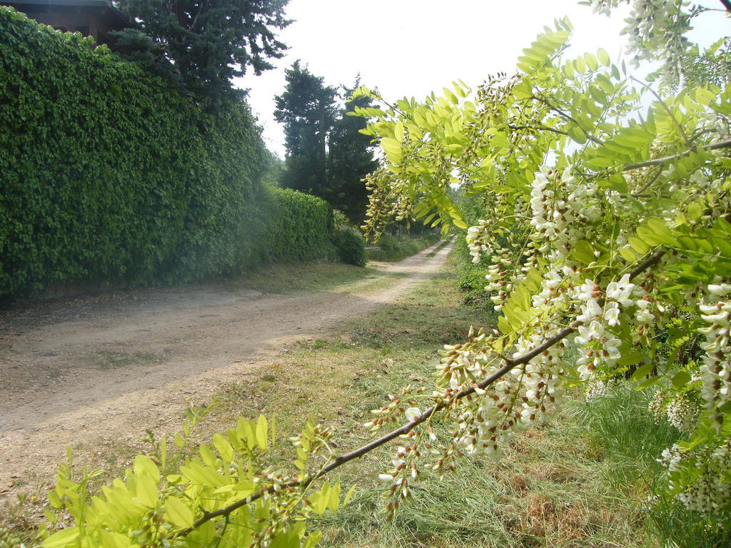 B&B Ca' Morino Verona Exterior foto